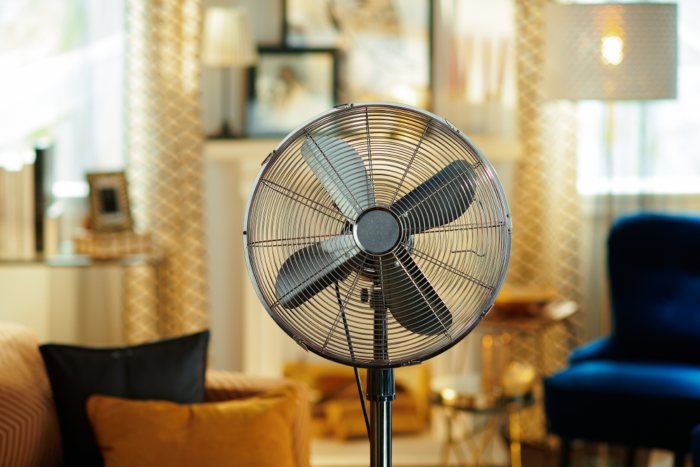 fan